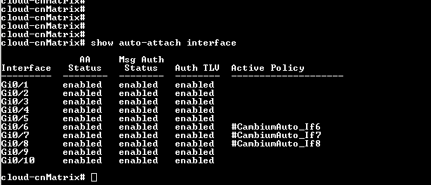 CLI output for show auto-attach interface showing active policy per interface.