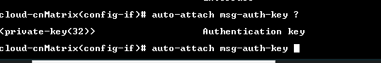 cnMatrix CLI command for changing the auto-attach message authentication key.