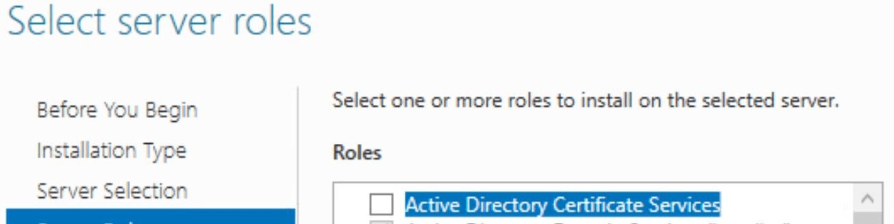 Windows Server Add Roles wizard showing Active Directory Certificate Services selected.