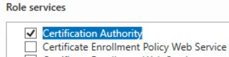 Active Directory Certificate Services role services showing Certification Authority selected.
