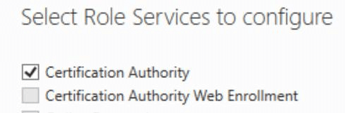 AD CS role services configuration with Certification Authority ticked.